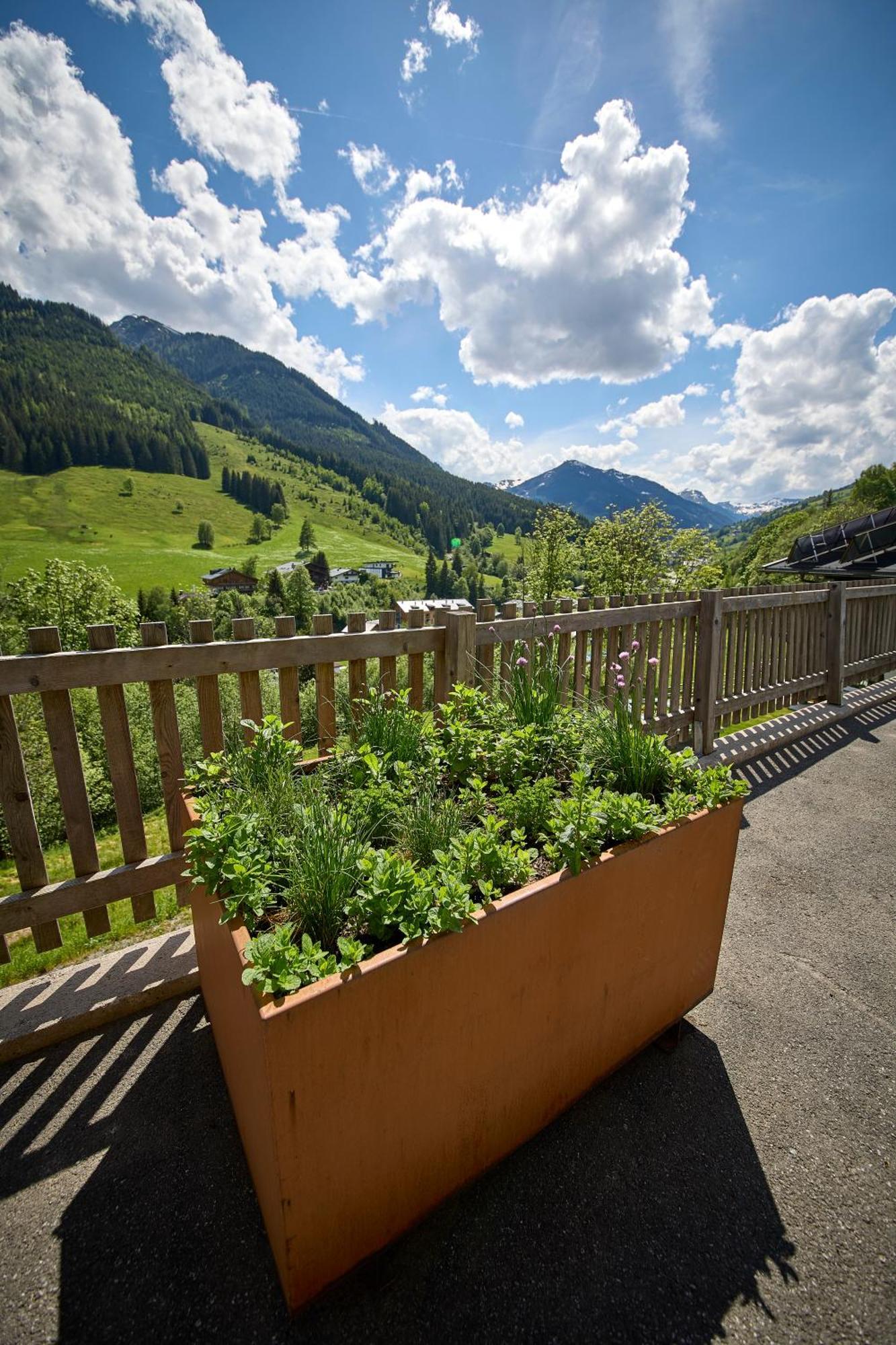 Drei Hittn Saalbach Apartment Bagian luar foto